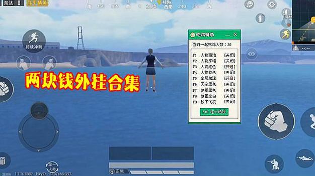 和平精英辅助得类型分为那些